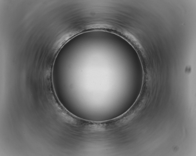 X0000091070937200708061259