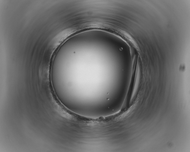 X0000091070938200708061259