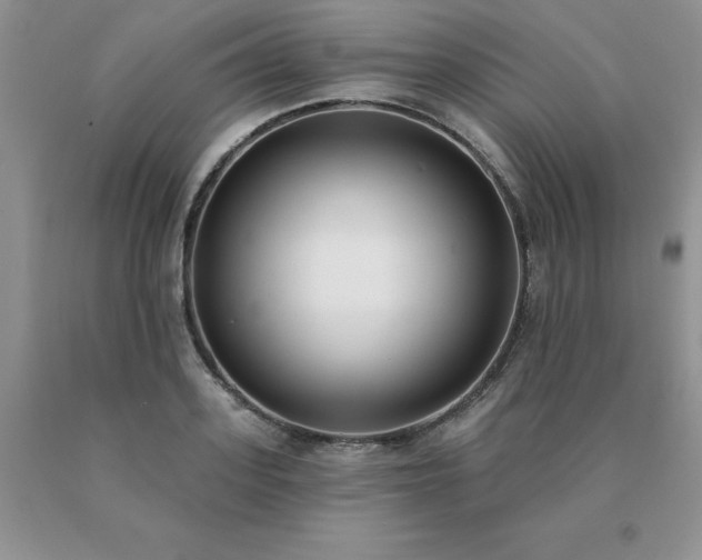 X0000091070939200708061259