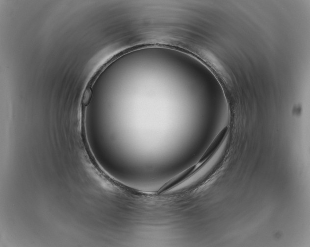 X0000091070940200708061259