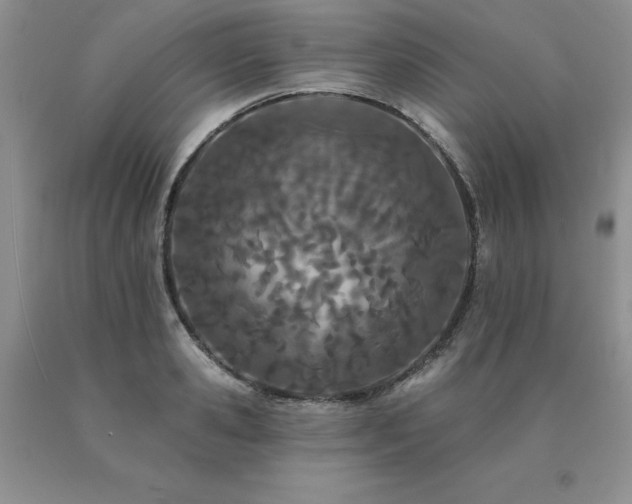 X0000091070941200708061259