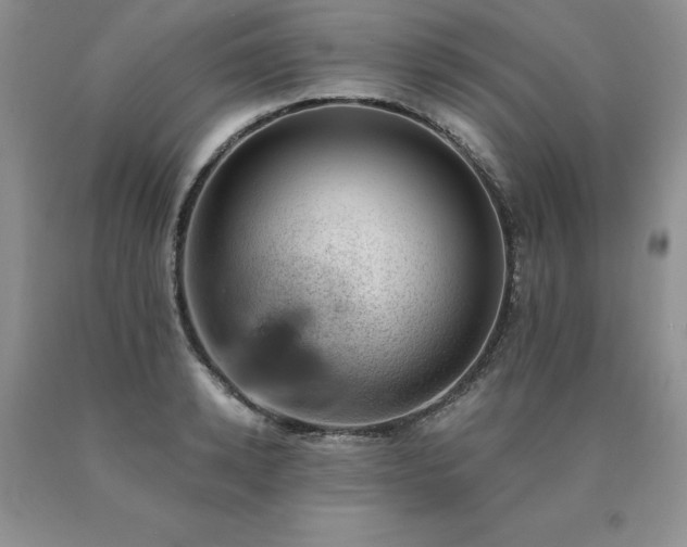 X0000091070942200708061259