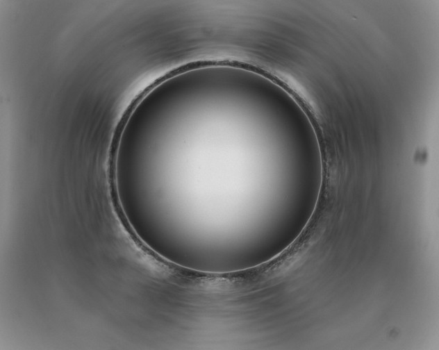 X0000091070943200708061259