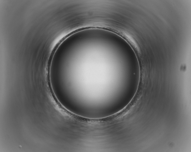 X0000091070944200708061259