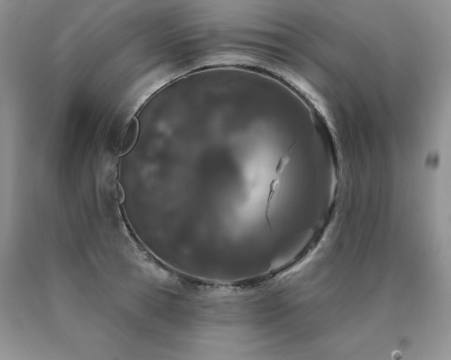 X0000091070945200708061259