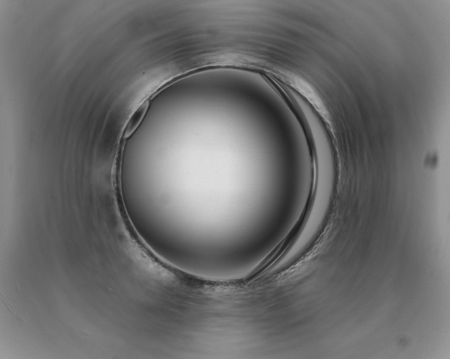X0000091070946200708061259