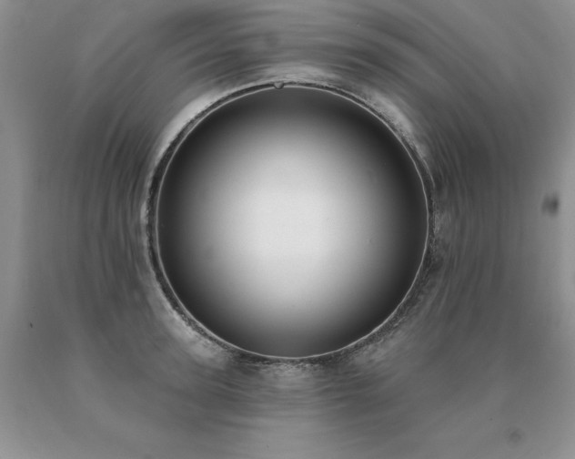 X0000091070947200708061259