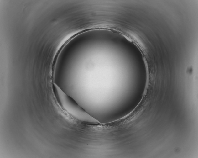 X0000091070948200708061259