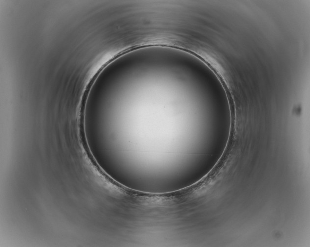 X0000091070949200708061259