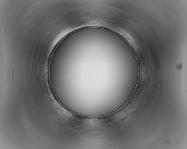 X0000091070950200708061259