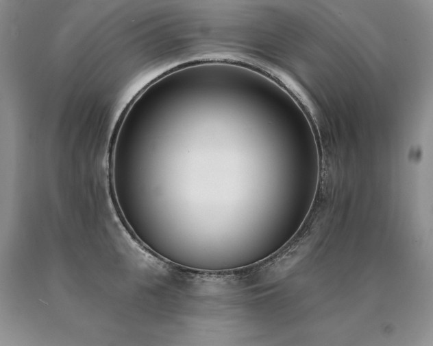 X0000091070951200708061259