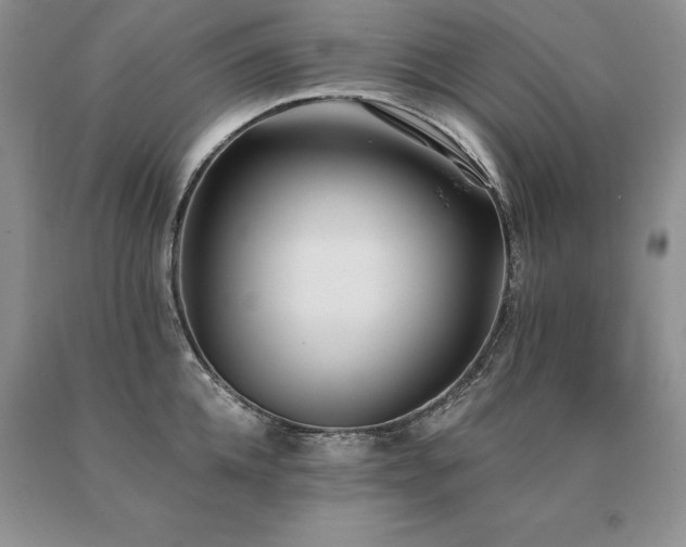 X0000091070952200708061259