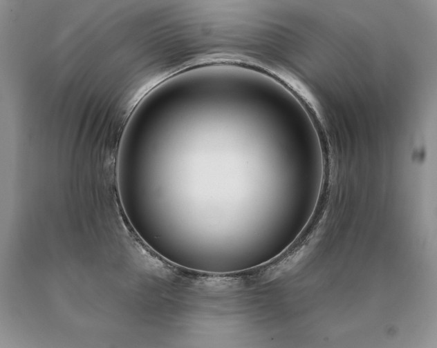 X0000091070953200708061259