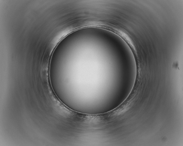 X0000091070954200708061259