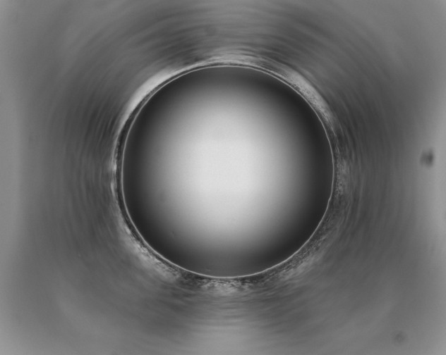 X0000091070955200708061259