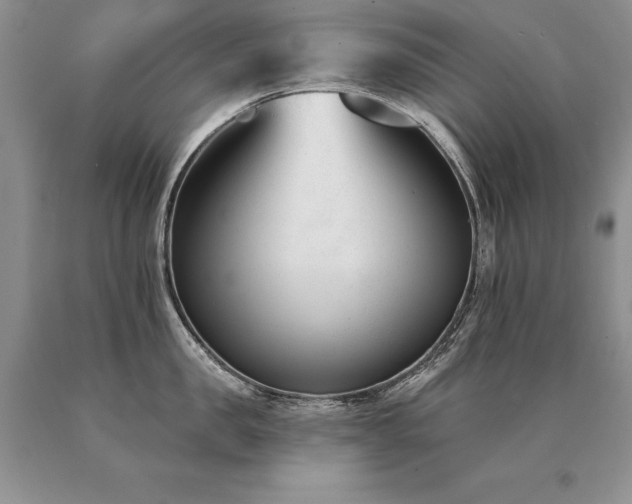 X0000091070957200708061259