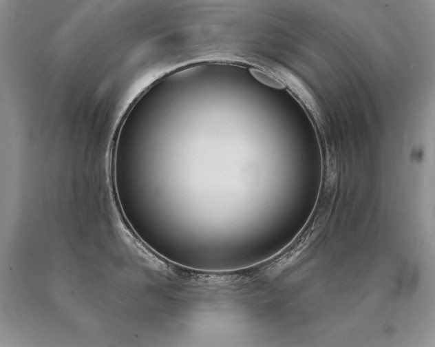 X0000091070958200708061259