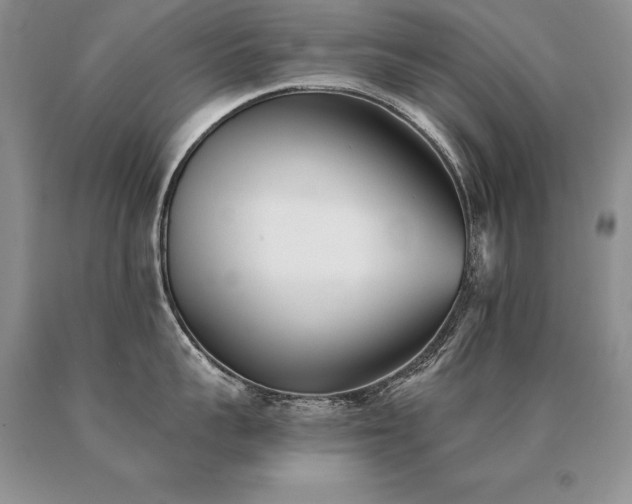 X0000091070959200708061259