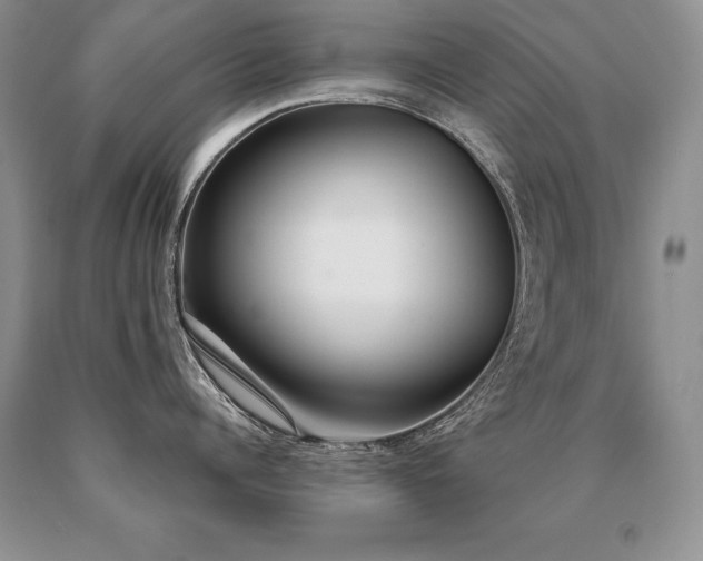 X0000091070960200708061259