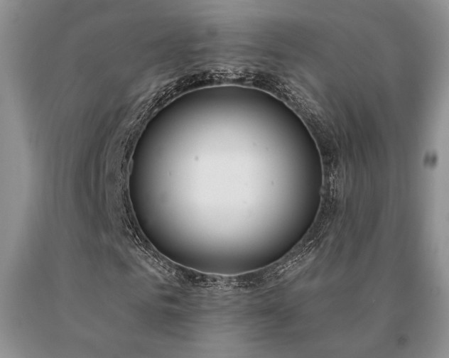X0000091070961200708061259