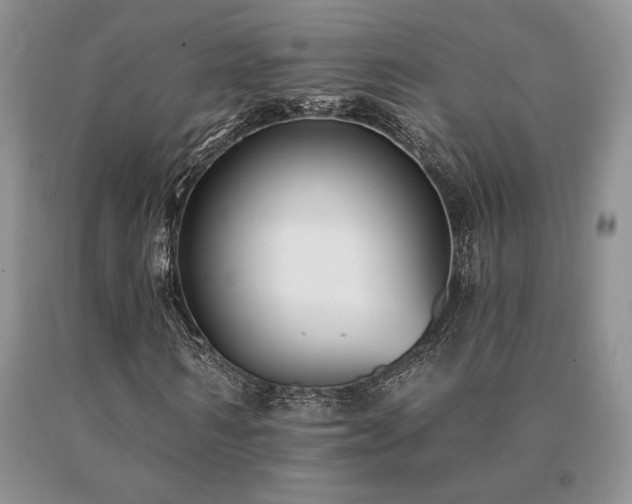X0000091070962200708061259