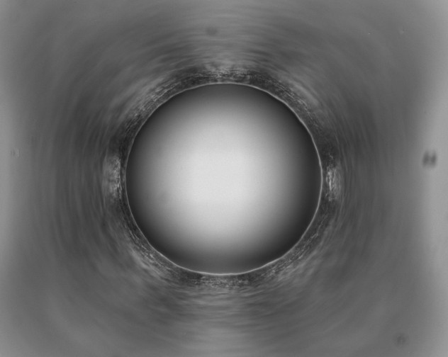 X0000091070963200708061258