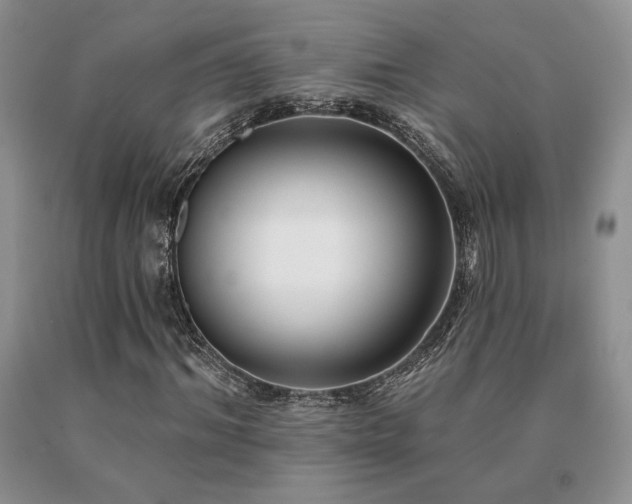 X0000091070964200708061258