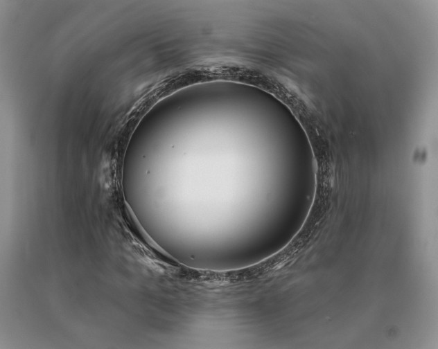 X0000091070965200708061258