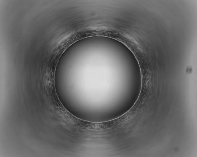 X0000091070966200708061258
