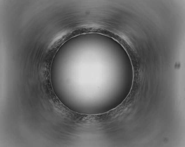 X0000091070967200708061258