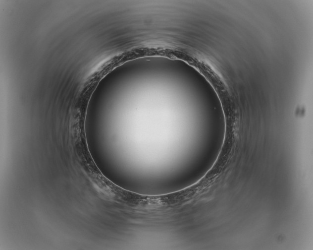 X0000091070968200708061258