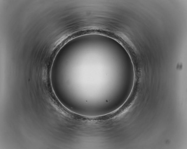 X0000091070969200708061258