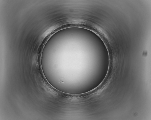 X0000091070970200708061258