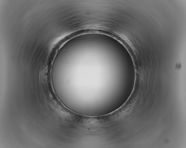 X0000091070971200708061258