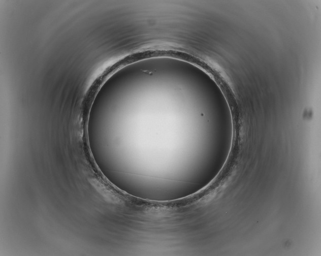 X0000091070973200708061258