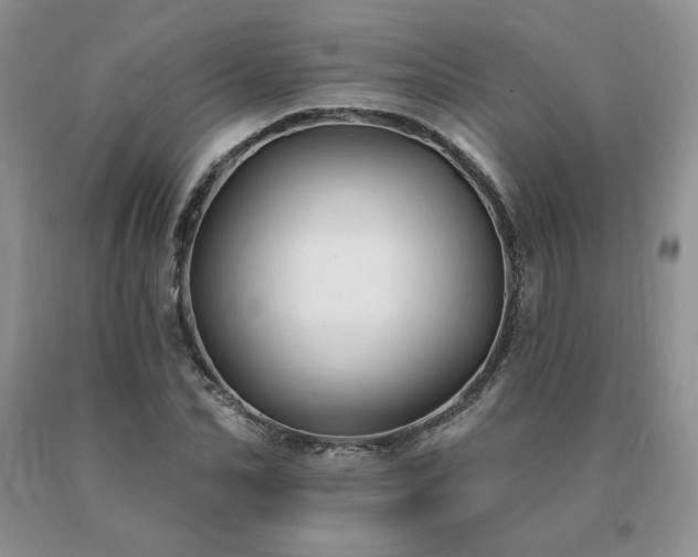 X0000091070974200708061258