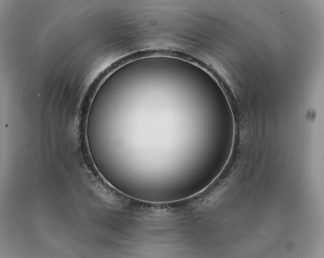 X0000091070975200708061258