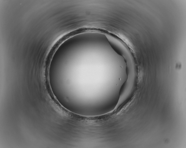 X0000091070976200708061258