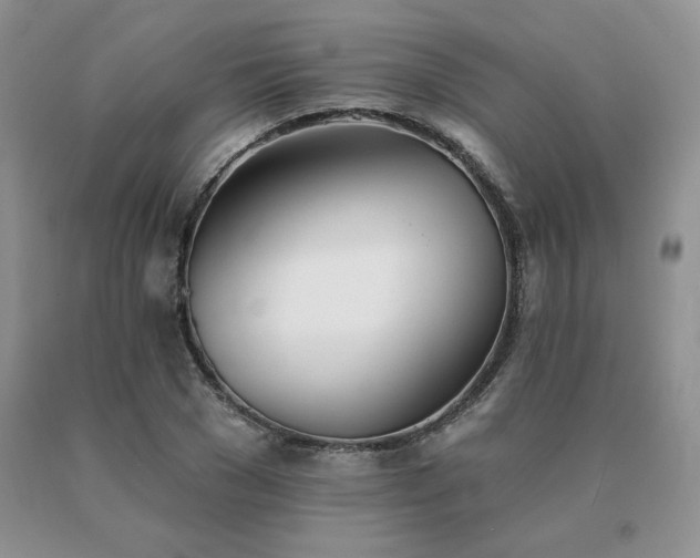 X0000091070977200708061258