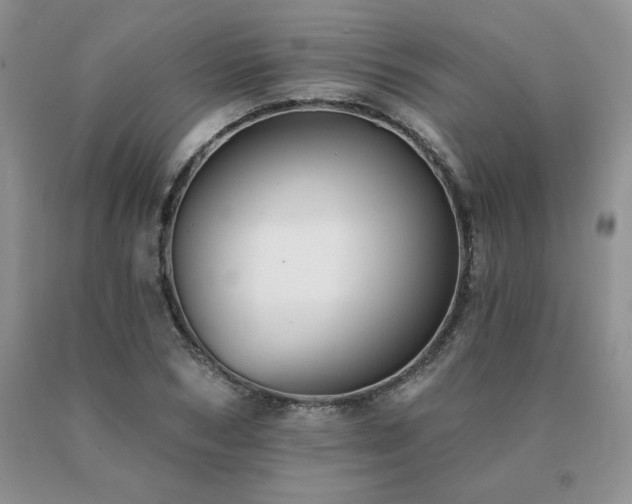 X0000091070978200708061258