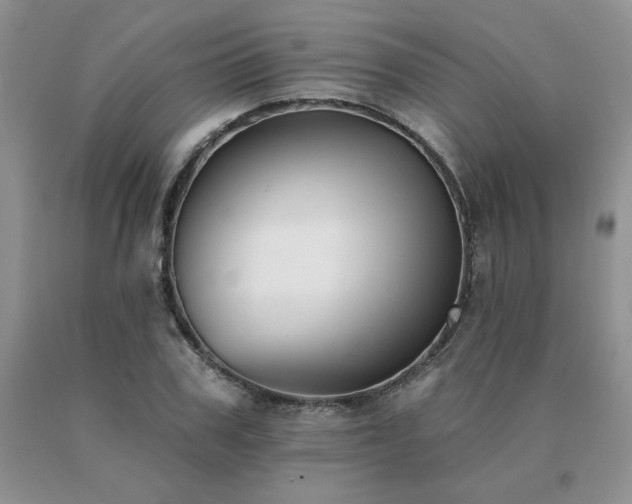 X0000091070979200708061258