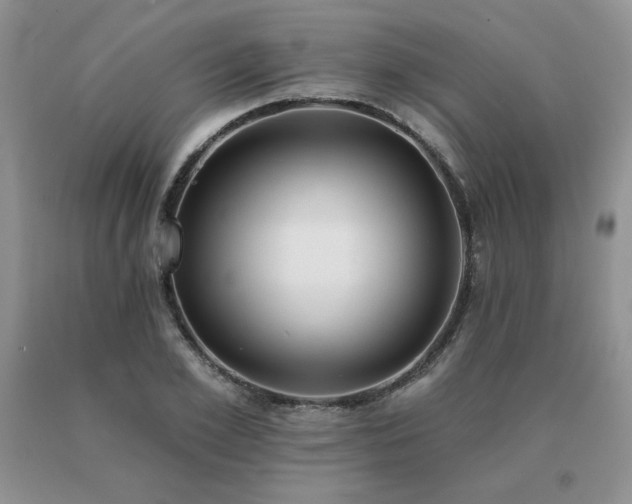 X0000091070981200708061258
