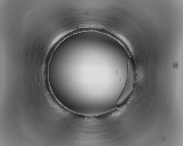 X0000091070983200708061258