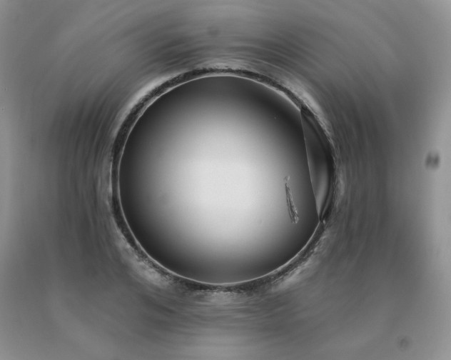 X0000091070984200708061258
