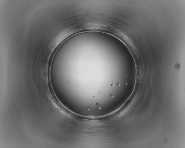 X0000091070986200708061258