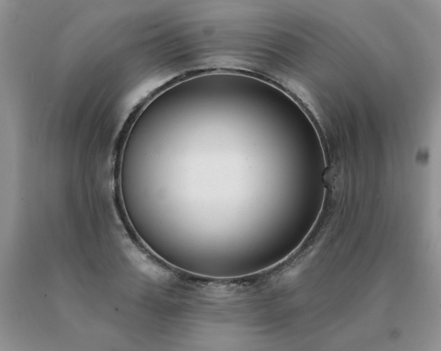 X0000091070987200708061258
