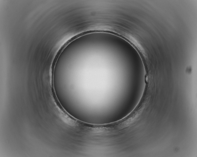 X0000091070988200708061258