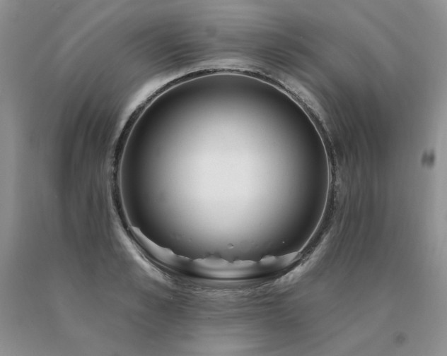 X0000091070989200708061258
