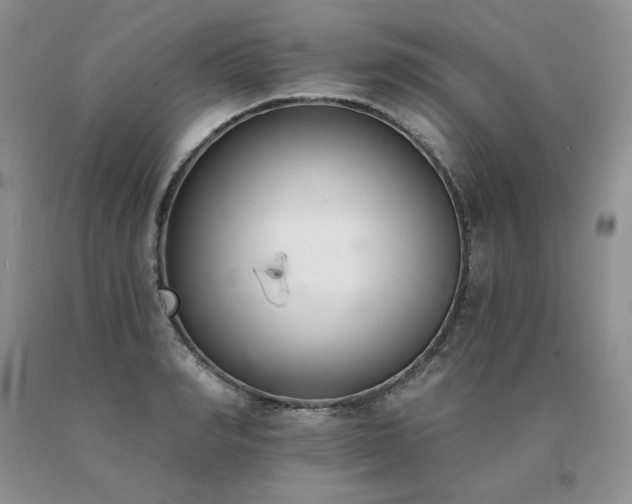 X0000091070990200708061258