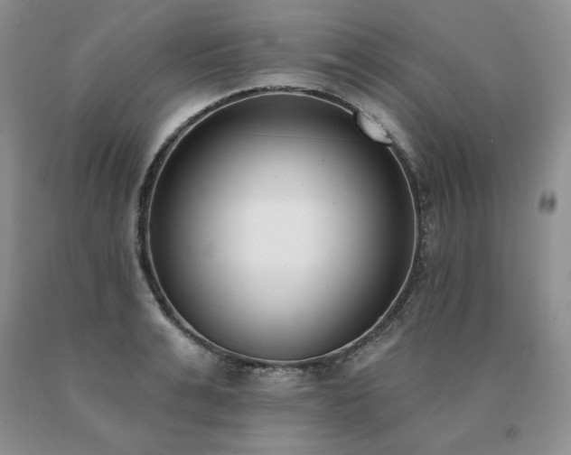 X0000091070991200708061258